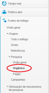 trafego de pesquisa organica - 01
