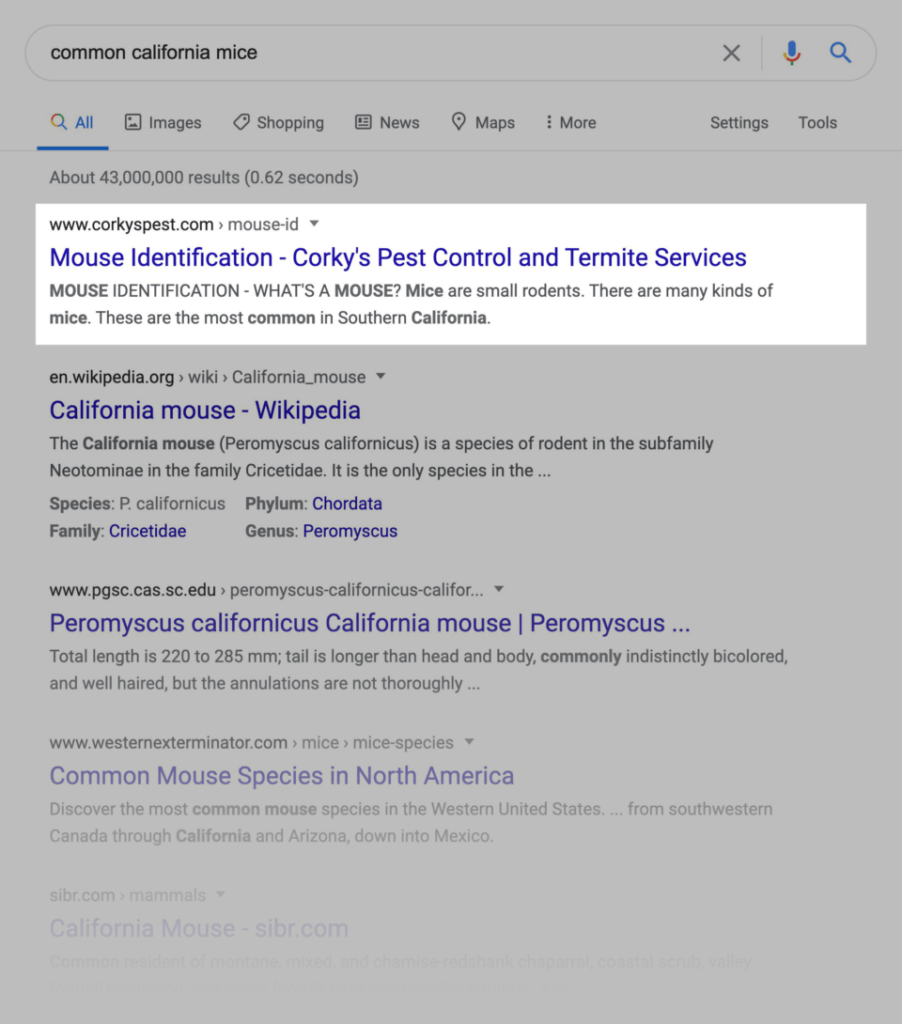 Fonte: Backlinko / Reprodução Página de resultados no Google para busca de ratinhos