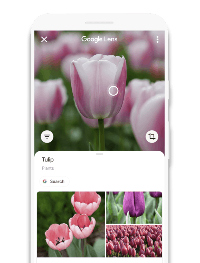 Fonte: Google / Reprodução Google Lens