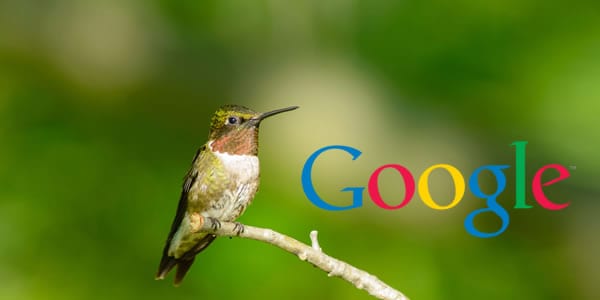 Google Humminbird