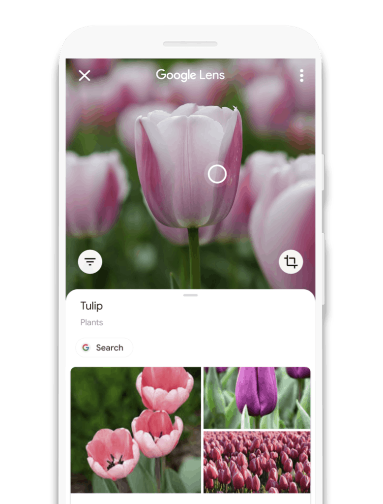 Google Lens