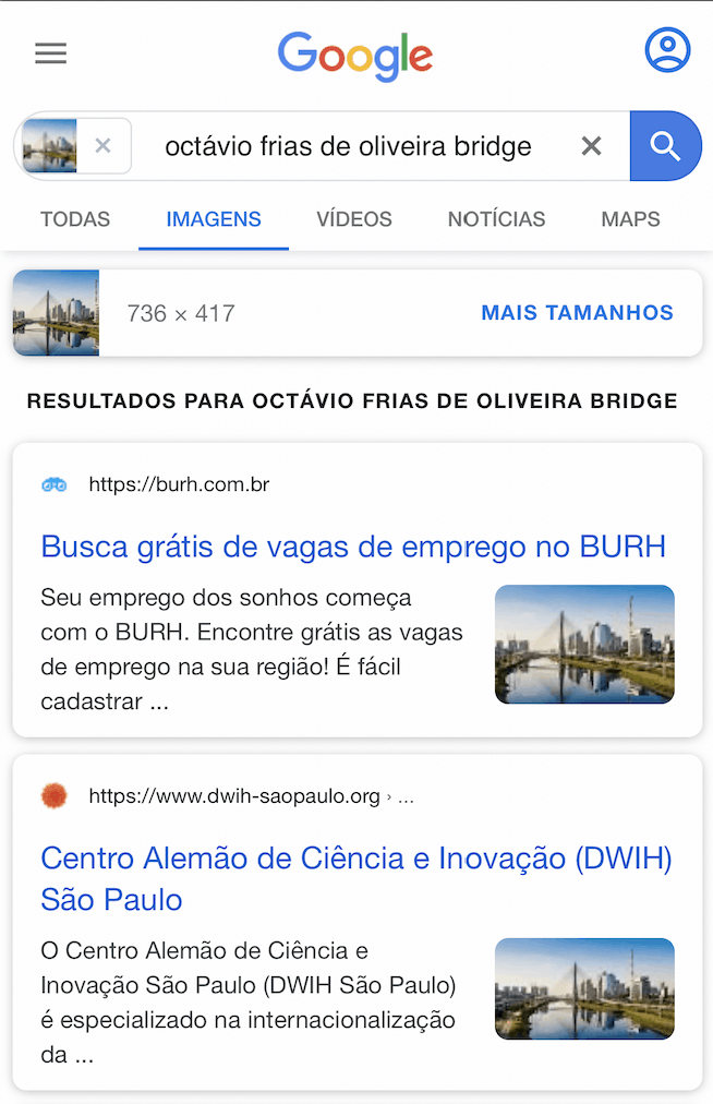 Tela de Resultados do Google Imagens no celular