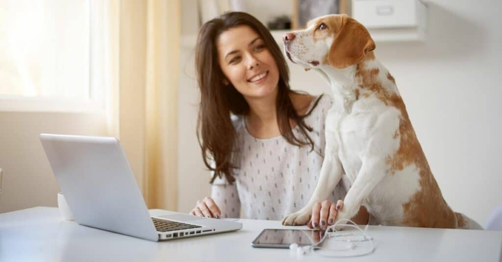 Home Office: mulher com notebook e cachorro